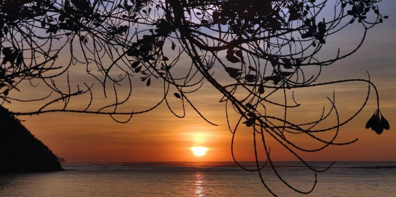Firesky Glamping Ocam Ocam Beach New Busuanga Exterior foto